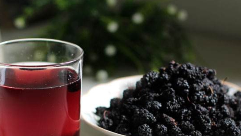 桑果汁的功效与作用