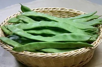 扁芸豆的功效与作用