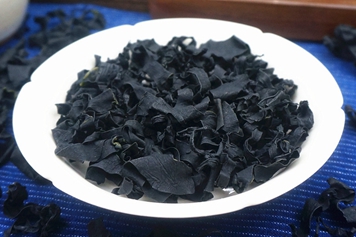 螺旋海藻叶的功效与作用