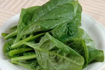 滑菜的功效与作用