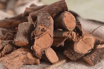 地板藤的功效与作用