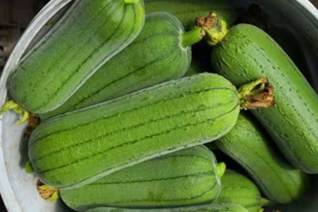 肉丝瓜的功效与作用