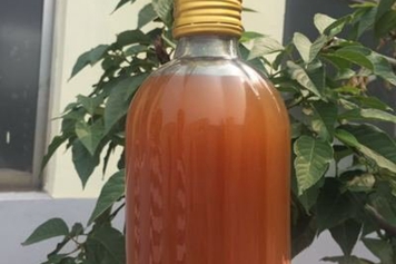 液体海参的功效与作用