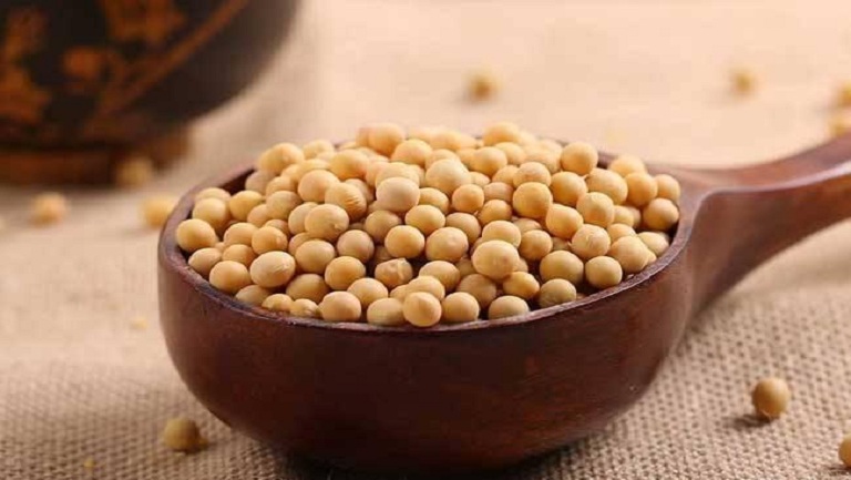 煮黄豆的功效与作用
