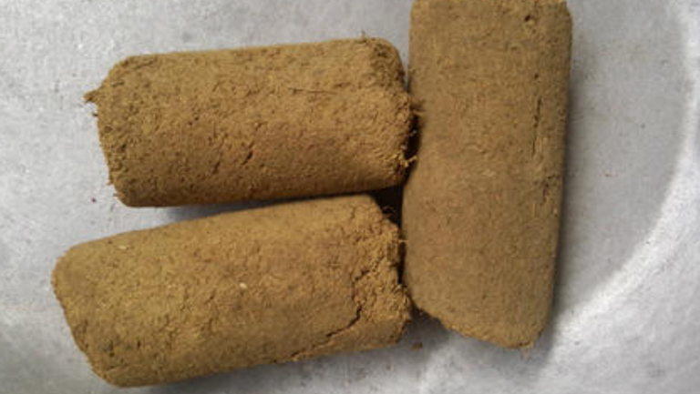 人中黄的功效与作用