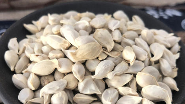 橘核粉的功效与作用