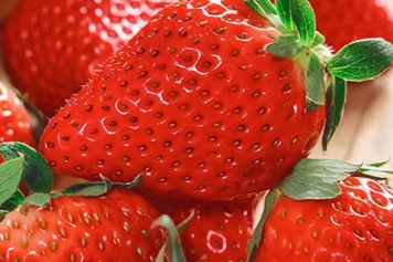 鲜草莓的功效与作用