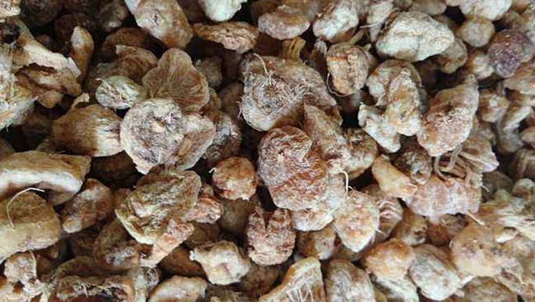 山慈姑的功效与作用