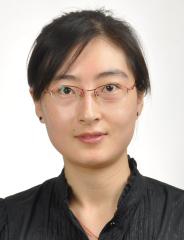 井海燕