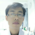 杨宏海