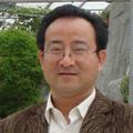 吴成长