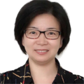 孙桦