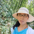 张玲